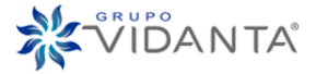 Grupo Vidanta logo